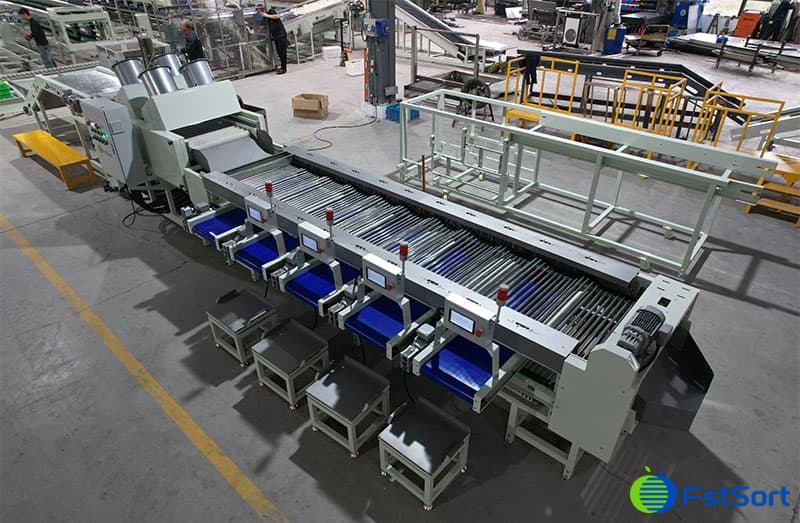 images/1714548169744cucamelons sorting machine.jpg